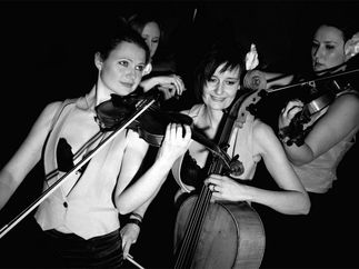 Promo Abele Strings String Quartet Hertfordshire
