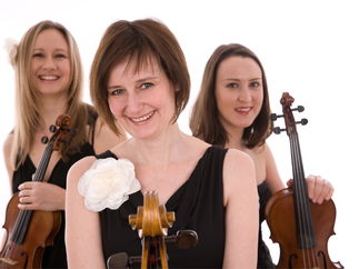 Promo Abele Strings String Quartet Hertfordshire