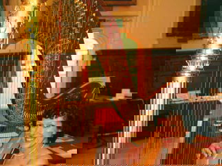 Promo Audrey Cameron Finnemore (Harpist) Harpist Hampshire