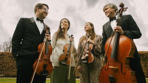 Video Princes Strings String Quartet Cardiff