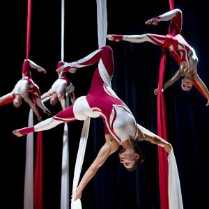 Promo Aerial Silk Displays  London