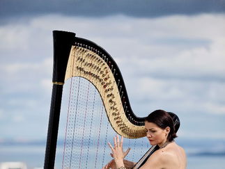 Promo Beautiful Harp Harpist London