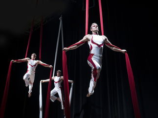 Promo Aerial Silk Displays Circus Performer London