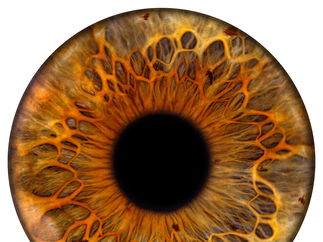 Promo Eye Art Photography Photo Booth London