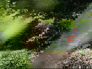 Promo Andy Cherry Classical Guitarist Buckinghamshire