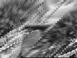 Promo Christmas Angel Statue Christmas Living Statue East Sussex