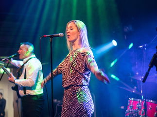 Promo White Gold Function Band Norfolk