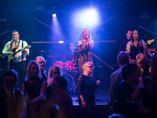 Promo White Gold Function Band Norfolk