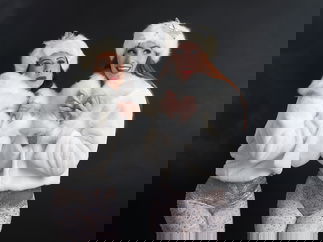 Promo Winter Festive Stilt Walkers Stilt Walker Northamptonshire