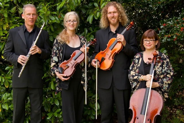 Promo Arioso String Quartet Greater Manchester