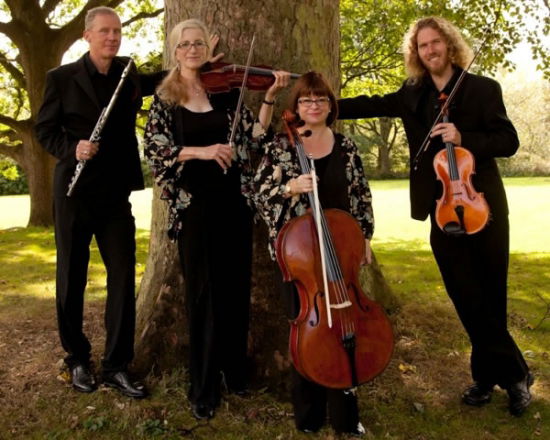 Promo Arioso String Quartet Greater Manchester