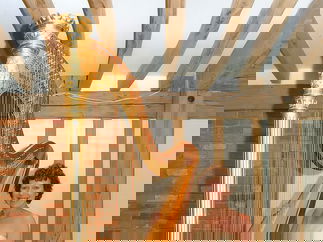 Promo Audrey Cameron Finnemore (Harpist) Harpist Hampshire