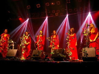 Promo Mediaeval Baebes Medieval Musician London