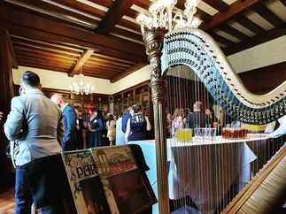 Promo Harmony Duo Harp and Flute Duo London