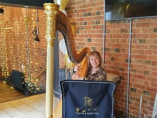 Promo Harmony Duo Harp and Flute Duo London