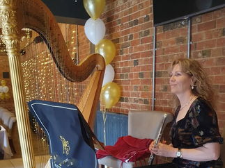 Promo Harmony Duo Harp and Flute Duo London