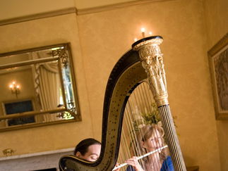 Promo Harmony Duo Harp and Flute Duo London