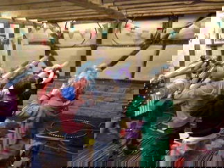 Promo Balloon Modellers Balloonist Leicestershire