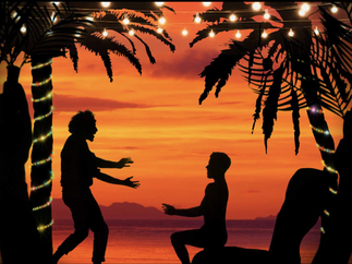 Promo The Christmas Shadow Show Christmas Entertainer Dorset