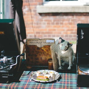 Promo The Vintage Gramophone Chap  Lincolnshire