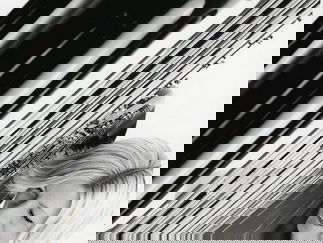 Promo Anita Aslin Harpist North Yorkshire