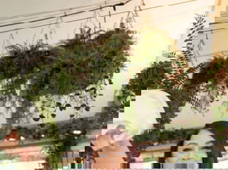 Promo Secret Servers Singing Waiters Warwickshire