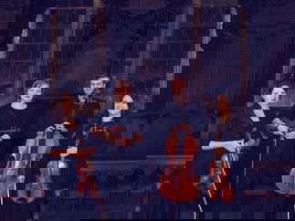 Promo Birmingham String Quartet String Quartet West Midlands