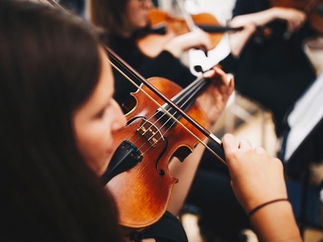 Promo Birmingham String Quartet String Quartet West Midlands