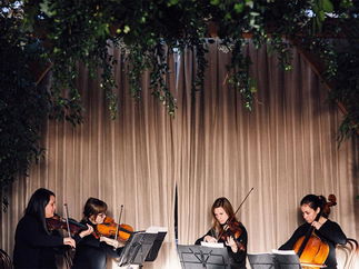 Promo Birmingham String Quartet String Quartet West Midlands