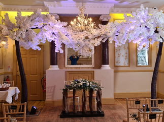 Promo Blossom Tree Hire Blossom Canopy Tree Hire Items Gloucestershire