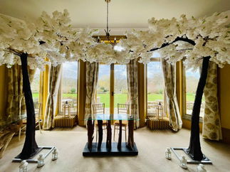 Promo Blossom Tree Hire Blossom Canopy Tree Hire Items Gloucestershire