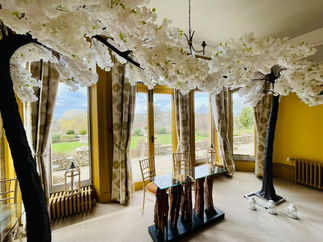 Promo Blossom Tree Hire Blossom Canopy Tree Hire Items Gloucestershire