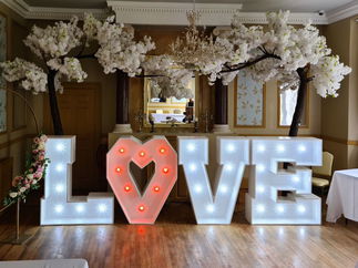 Promo Blossom Tree Hire Blossom Canopy Tree Hire Items Gloucestershire