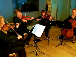 Promo The Stirlingshire String Quartet String Quartet Stirlingshire area