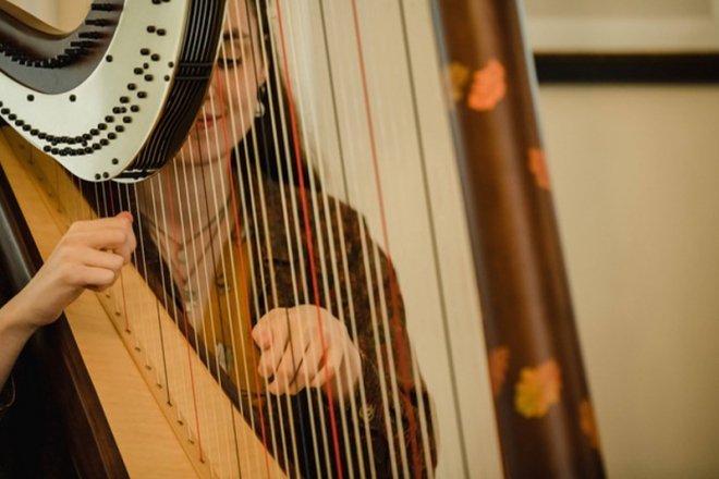 Promo Scarlett Harp Harpist Bristol