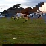 Promo Bubble Football  Lincolnshire