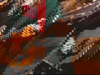 Promo Rose Acoustic Solo Artist, Duo or Trio Somerset