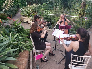 Promo Calithea String Quartet String Quartet London