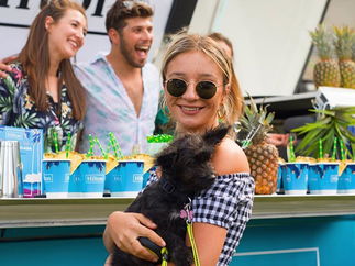 Promo Campervan Cocktail Bar Mobile Cocktail Bar Surrey