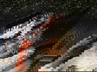 Promo Magical Christmas Acts Christmas Entertainer East Lothian