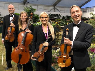 Promo Canterbury Strings String Quartet Kent