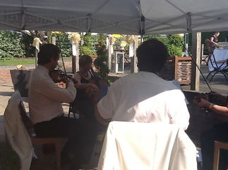 Promo Celebration String Quartet String Quartet Worcestershire