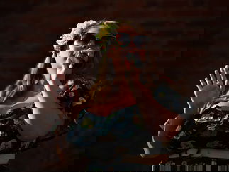 Promo Vintage Lianna Vintage 50s/60s Singer West Sussex