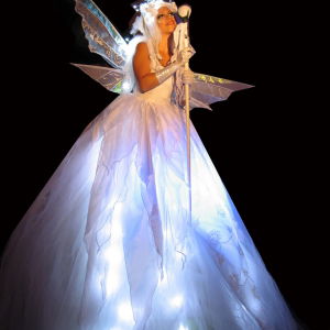 Promo Christmas Entertainers  East Sussex