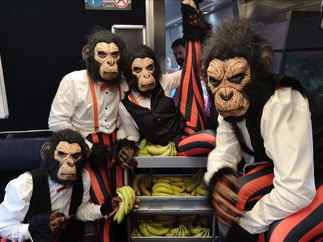 Promo The Roaming Chimps Mix and Mingle Entertainer Lancashire