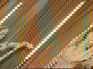 Promo Neon Rose Live DJ Live Act London