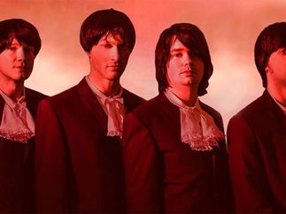 Promo (The Kinks) Complete Kinks The Kinks Tribute Band West Yorkshire