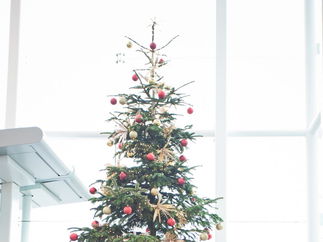 Promo Santa Babes Vocal Harmony Trio Buckinghamshire