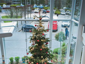 Promo Santa Babes Vocal Harmony Trio Buckinghamshire