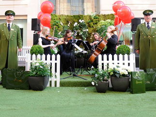 Promo Abbey Strings String Duo / Trio / Quartet London